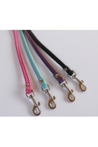 Faux Leather  Leashes