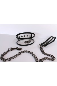 Transparent Collar and Leash Set