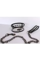 Transparent Collar and Leash Set