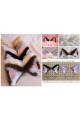 Custom Cat Ears