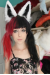 Fennec Fox Ears