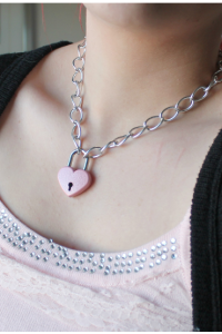 Lockable Day Collar