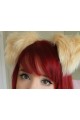 Custom Puppy Ears