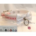 Build Your Own Buckled Collar! (Nylon/Nylon Trim)