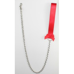 Red Satin Leash