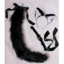 Black Cat Set