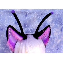 "Midnight" Alien Fox...