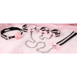 Sakura Bondage Set