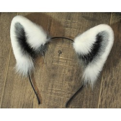 Raccoon Ears