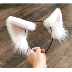 Basic White Cat