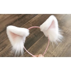 Basic White Kitten