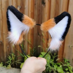 Red Fox Ears