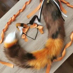 Orange Calico Kitten Set...