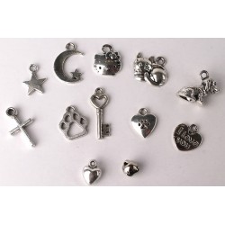 Silver Charms (Small)