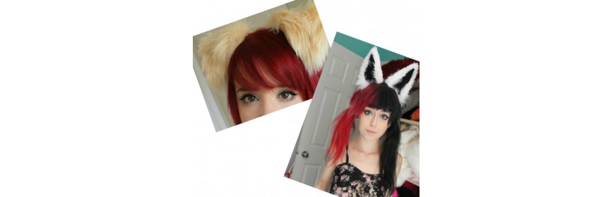Canine Ears